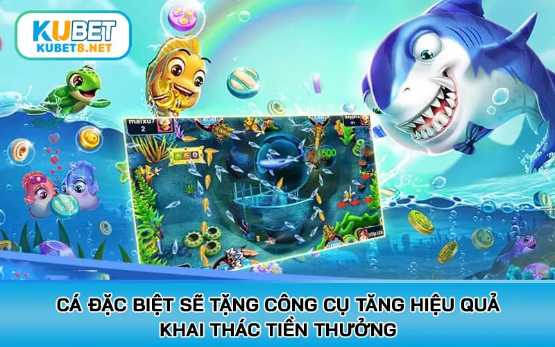 Cá đặc biệt sẽ tặng công cụ tăng hiệu quả khai thác tiền thưởng