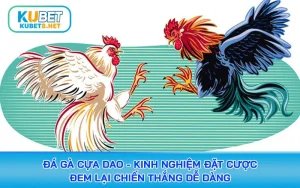 đá gà cựa dao