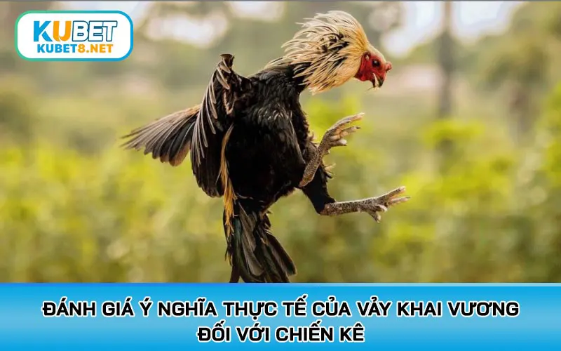Đánh giá ý nghĩa thực tế của vảy Khai Vương đối với chiến kê