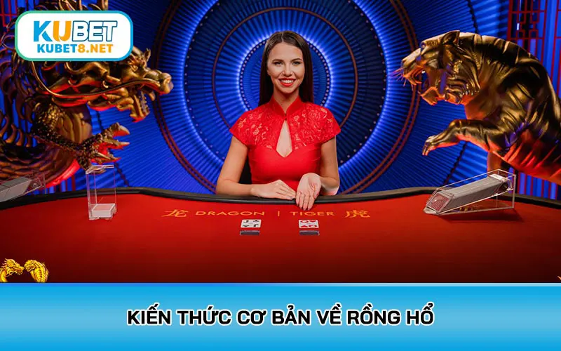 Kiến thức cơ bản về Rồng Hổ