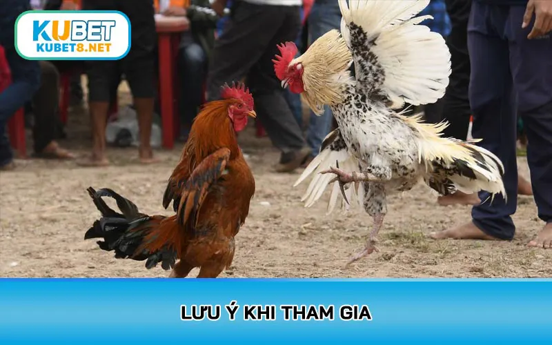 Lưu ý khi tham gia