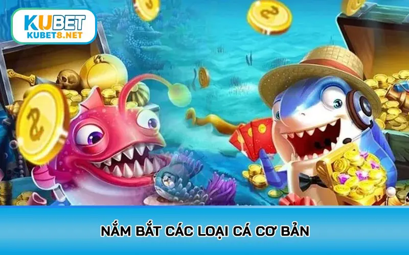 Nắm bắt các loại cá cơ bản
