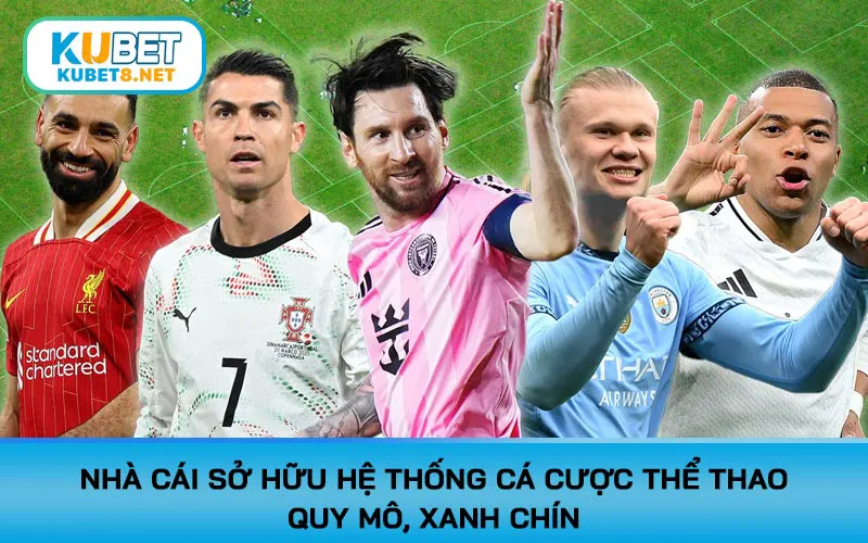 Nhà cái sở hữu hệ thống cá cược thể thao quy mô, xanh chín