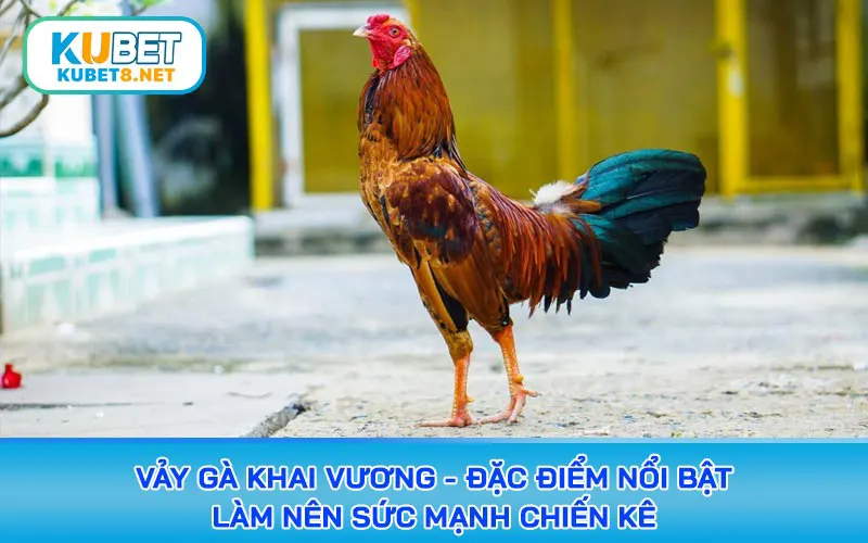 vảy gà khai vương